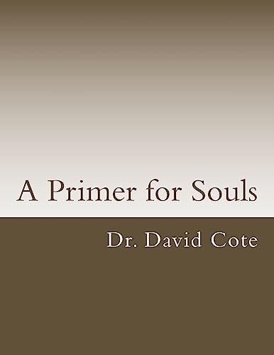 Stock image for A Primer for Souls for sale by THE SAINT BOOKSTORE