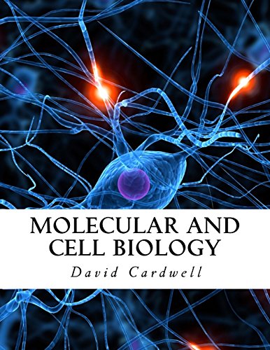 Beispielbild fr Molecular and Cell Biology zum Verkauf von Revaluation Books