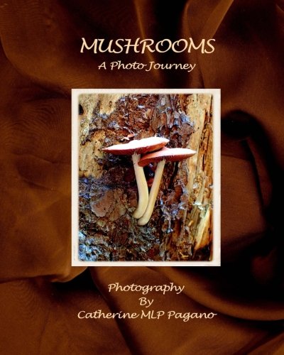 Imagen de archivo de Mushrooms: A Photo Journey a la venta por Revaluation Books