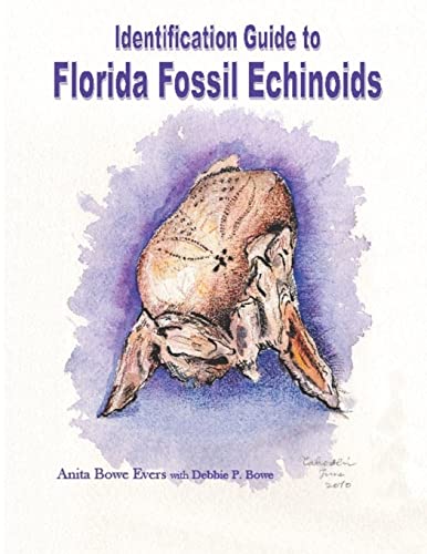 Stock image for Identification Guide to Florida Fossil Echinoids for sale by Lucky's Textbooks