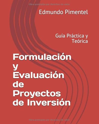 Imagen de archivo de Formulacin y Evaluacin de Proyectos de Inversin: Gua Prctica y Terica a la venta por Revaluation Books