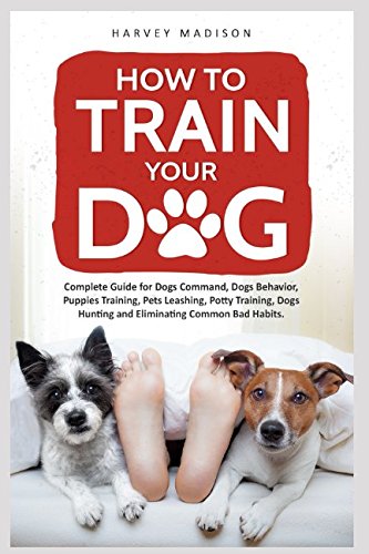 Beispielbild fr How to Train Your Dog zum Verkauf von Revaluation Books