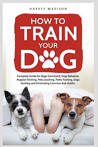 Stock image for How to Train Your Dog for sale by Revaluation Books