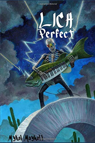 Stock image for Lich Perfect: A Stupid Fantasy for sale by Revaluation Books