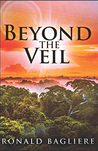 Beispielbild fr Beyond The Veil zum Verkauf von WorldofBooks