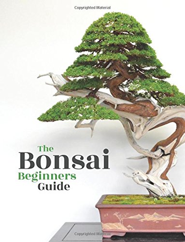 Beispielbild fr Bonsai: The Beginners Guide zum Verkauf von AwesomeBooks