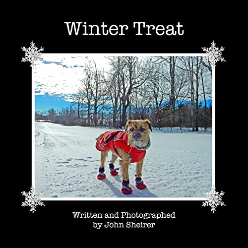 Stock image for Winter Treat for sale by Big River Books