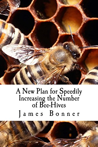 9781981828456: A New Plan for Speedily Increasing the Number of Bee-hives