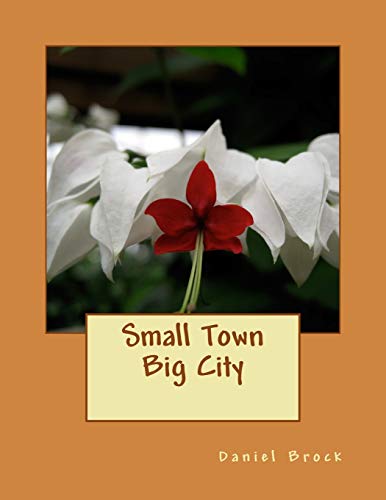 Beispielbild fr Small Town Big City zum Verkauf von GreatBookPrices