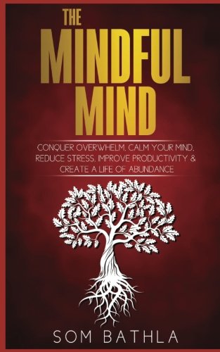 Imagen de archivo de The Mindful Mind: Conquer Overwhelm, Calm Your Mind, Reduce Stress, Improve Productivity Create a Life of Abundance a la venta por Coas Books