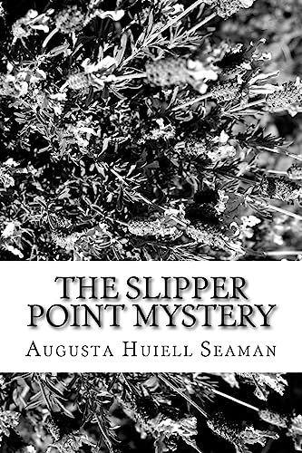 Stock image for The Slipper Point Mystery for sale by THE SAINT BOOKSTORE