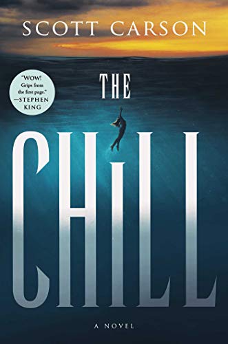 Imagen de archivo de The Chill: A Novel a la venta por ZBK Books