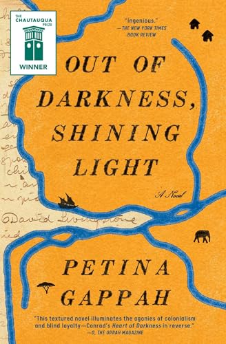 Imagen de archivo de Out of Darkness, Shining Light: A Novel a la venta por SecondSale