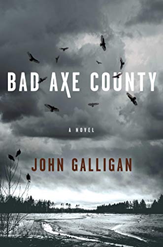 9781982110703: Bad Axe County: A Novel (1) (A Bad Axe County Novel)