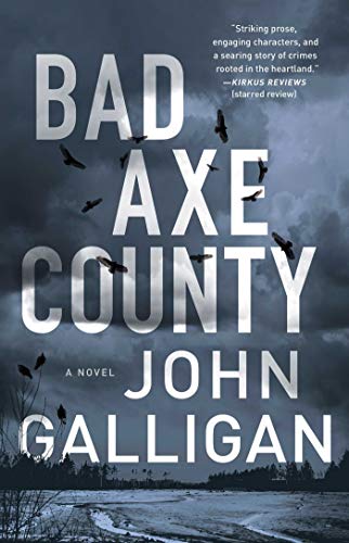 9781982110710: Bad Axe County: A Novel (1) (A Bad Axe County Novel)