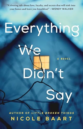 Beispielbild fr Everything We Didn't Say: A Novel zum Verkauf von Wonder Book