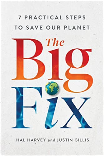 Stock image for The Big Fix: 7 Practical Steps to Save Our Planet for sale by Strand Book Store, ABAA