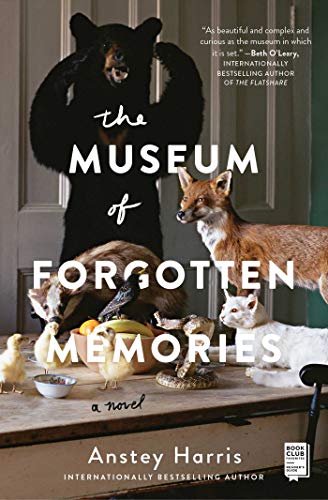Beispielbild fr The Museum of Forgotten Memories : A Novel zum Verkauf von Better World Books