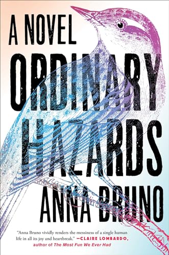 Beispielbild fr Ordinary Hazards : A Novel zum Verkauf von Better World Books