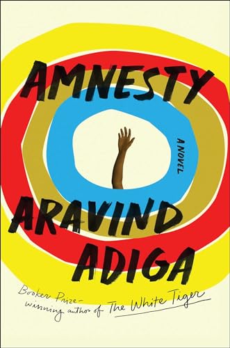 Beispielbild fr Amnesty : A Novel zum Verkauf von Better World Books