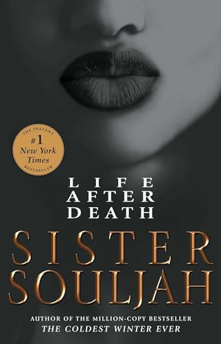 Beispielbild fr Life After Death: A Novel (2) (The Winter Santiaga Series) zum Verkauf von BooksRun