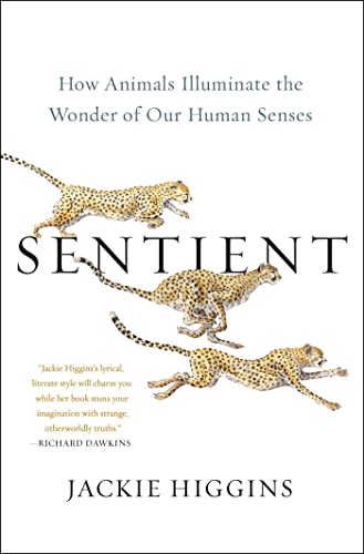 Imagen de archivo de Sentient: How Animals Illuminate the Wonder of Our Human Senses a la venta por SecondSale