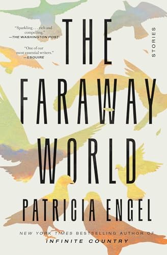 9781982159535: The Faraway World: Stories