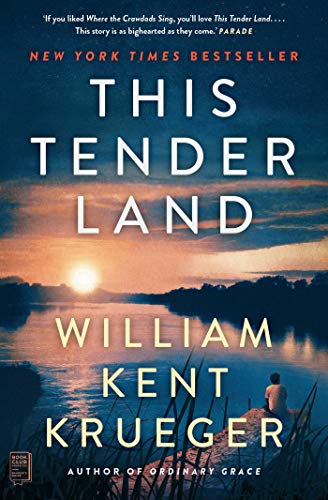 Stock image for This Tender Land: A Novel for sale by KuleliBooks