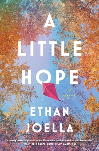 9781982171193: A Little Hope: A Novel