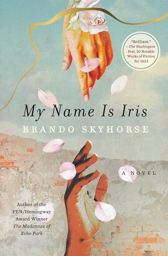 Beispielbild fr My Name Is Iris: A Novel zum Verkauf von Lakeside Books