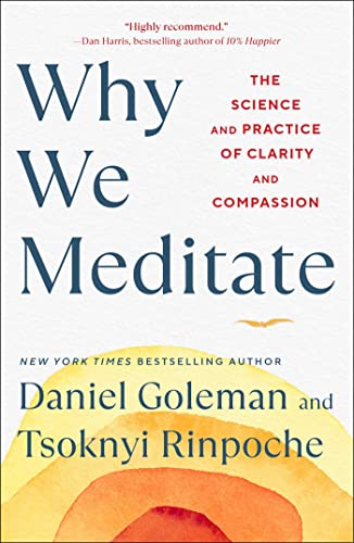 Stock image for Why We Meditate : The Science and Practice of Clarity and Compassion for sale by Better World Books: West