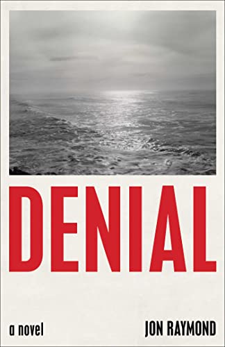 Beispielbild fr Denial : A Novel zum Verkauf von Better World Books