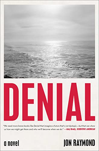Stock image for Denial: A Novel for sale by SecondSale