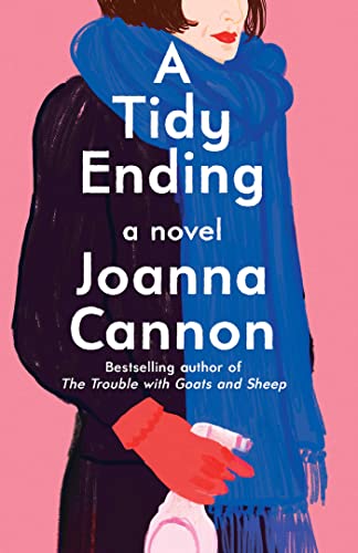 Imagen de archivo de A Tidy Ending: A Novel a la venta por Off The Shelf