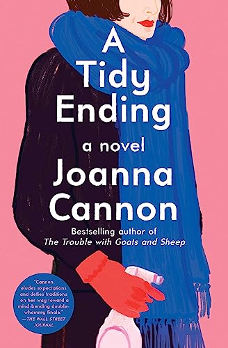 9781982185589: A Tidy Ending: A Novel