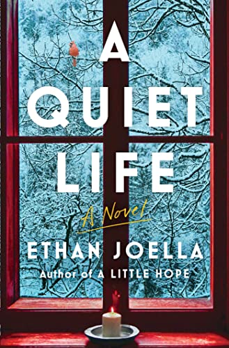 9781982190972: A Quiet Life: A Novel