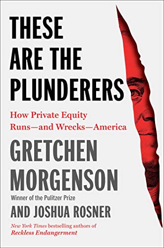 Stock image for These Are the Plunderers : How Private Equity Runs--And Wrecks--America for sale by Better World Books