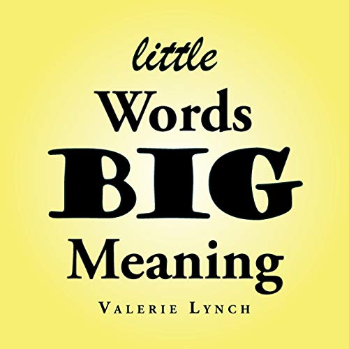 Imagen de archivo de Little Words Big Meaning a la venta por Lakeside Books
