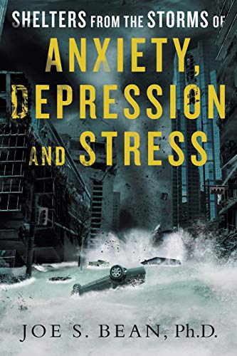 Stock image for Shelters from the Storms of Anxiety, Depression and Stress for sale by Lucky's Textbooks