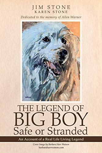 Stock image for The Legend of BIG BOY Safe or Stranded: An Account of a Real Life Living Legend for sale by bookwave