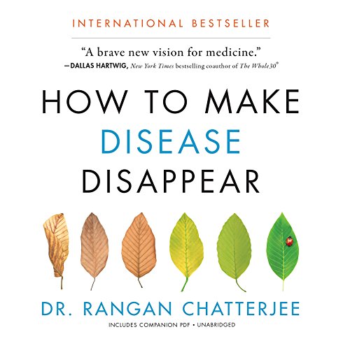 Imagen de archivo de How to Make Disease Disappear a la venta por Revaluation Books