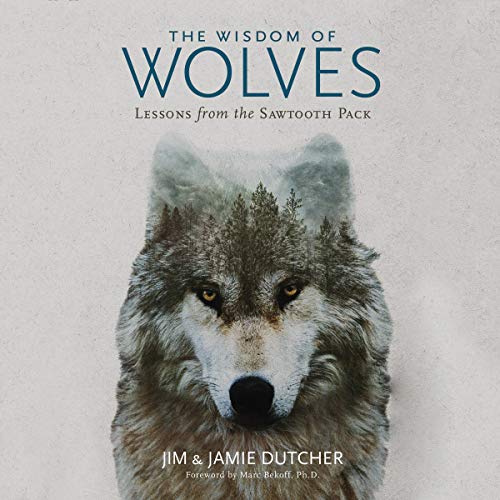 Stock image for The Wisdom of Wolves: Lessons from the Sawtooth Pack for sale by Buchpark