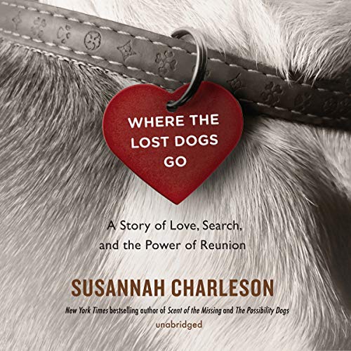 Stock image for Where the Lost Dogs Go: A Story of Love, Search, and the Power of Reunion for sale by Buchpark