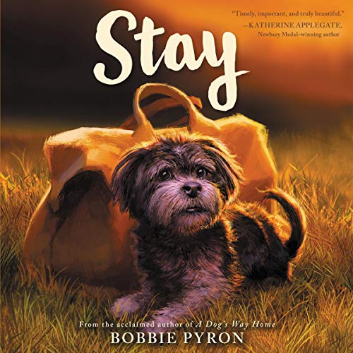 9781982661304: Stay: Library Edition