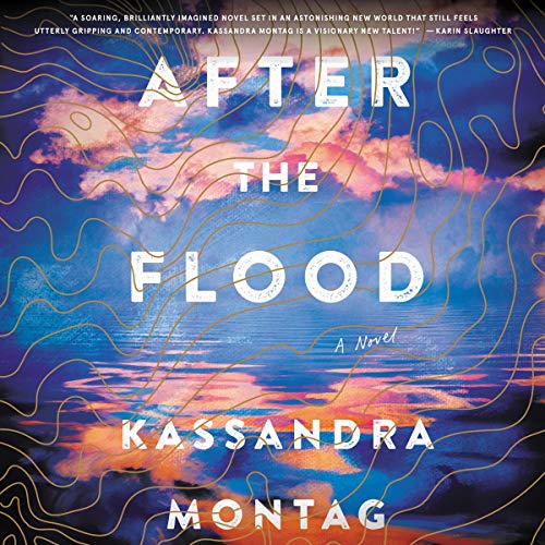 9781982687298: After the Flood: A Novel