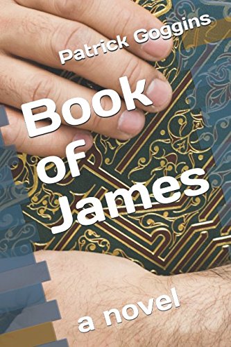 Beispielbild fr Book of James: a novel zum Verkauf von Revaluation Books