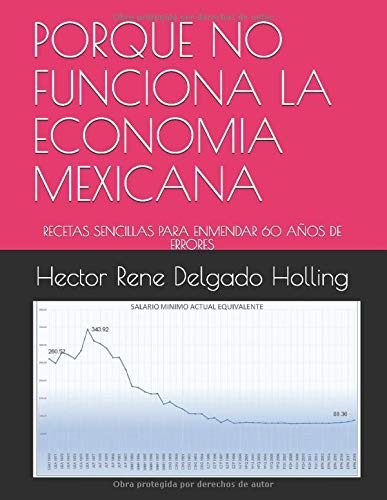 Imagen de archivo de PORQUE NO FUNCIONA LA ECONOMIA MEXICANA: RECETAS SENCILLAS PARA ENMENDAR 60 AOS DE ERRORES a la venta por Revaluation Books