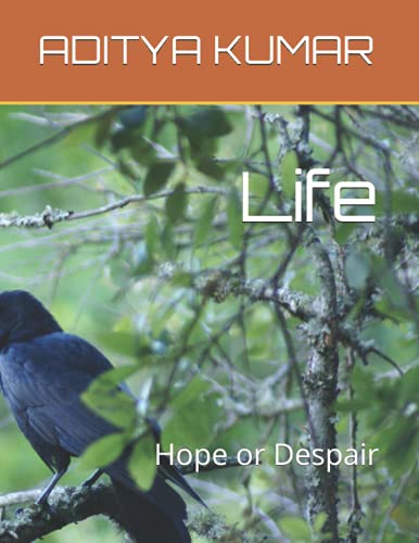 Beispielbild fr Life: Hope or Despair zum Verkauf von Revaluation Books