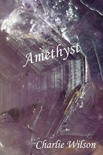 Imagen de archivo de Amethyst a la venta por Revaluation Books