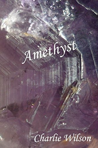 Stock image for Amethyst for sale by Revaluation Books